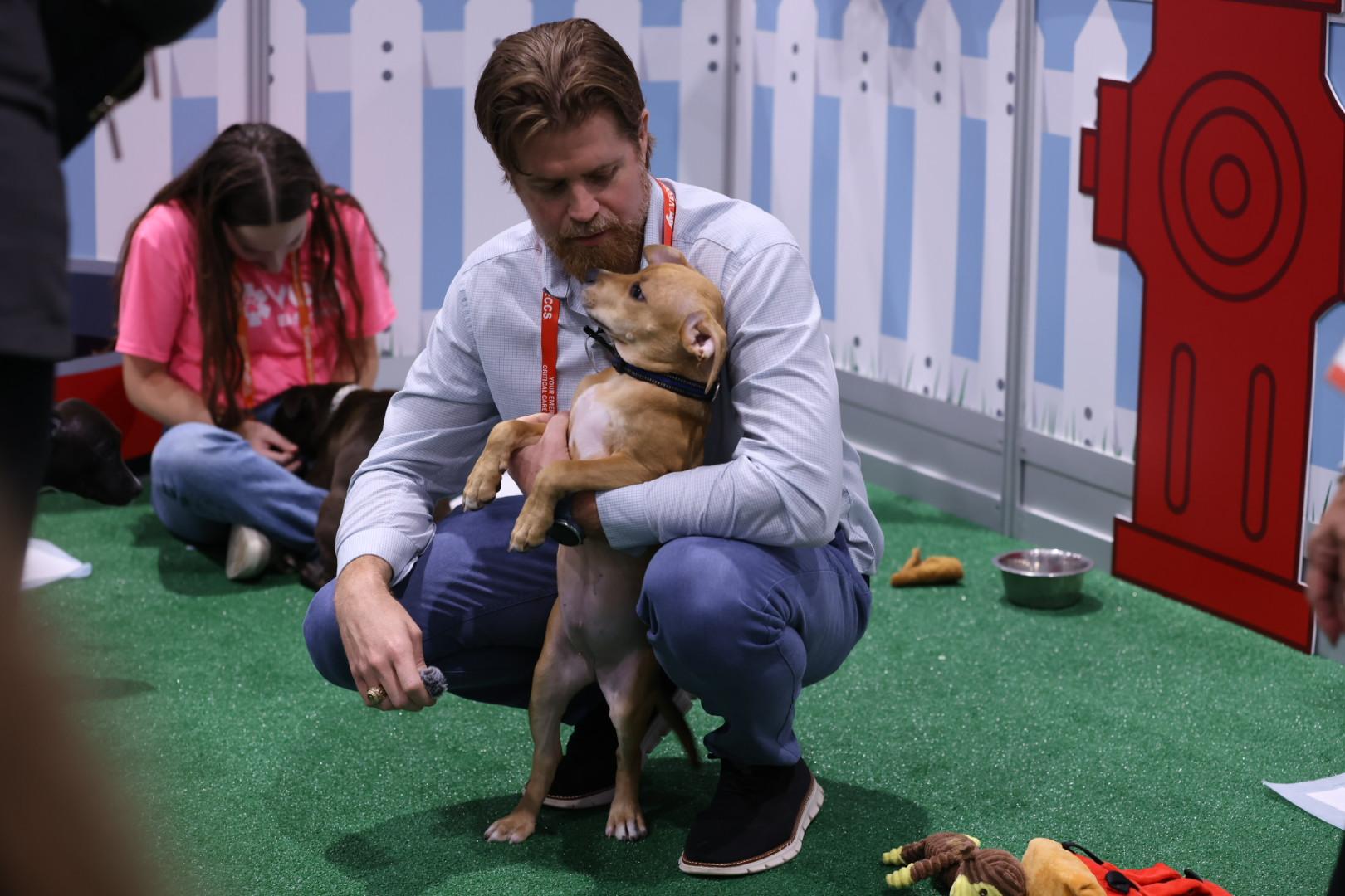 BluePearl medical director Dr. Stone cuddles a tan puppy at the IVECCS 2026 Puppy Playground.