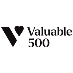 Valuable 500 logo
