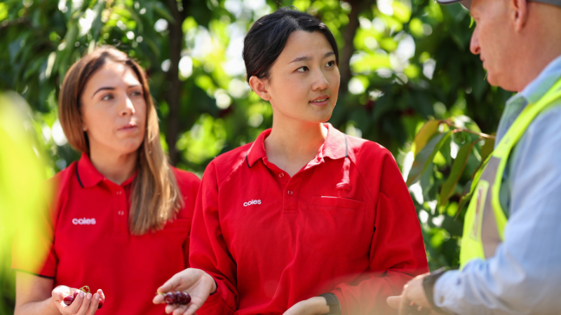 Two Coles team members holding freshly picked cherries speak with a farm worker in an orchard.