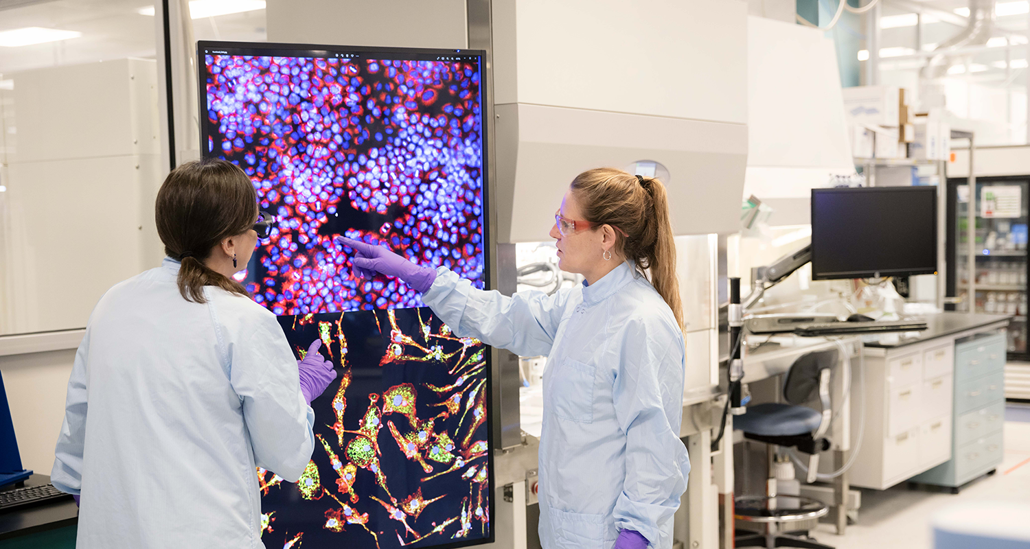 Two lab workers review colorful cell images on a large screen in a laboratory.