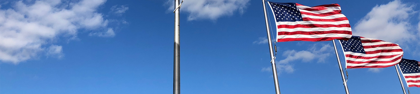 American Flags Banner