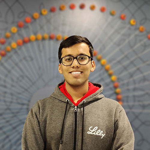 A man with tan skin and black short har wearing a grey hoodie with the word “Lilly” printed on it, standing in front of a colorful, artistic background composed of concentric circles made from small, multicolored spheres. He is smiling and the backdrop adds a playful, creative energy to the image.