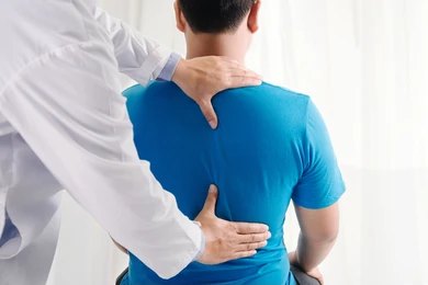 physiotherapists