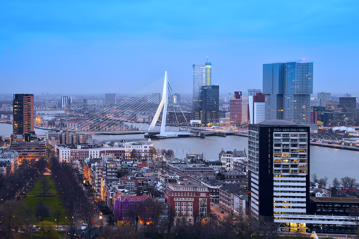 1682240861937_rotterdam-1653495744256